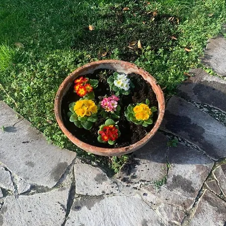 Leupupe Relax Cultura Mare Monti *